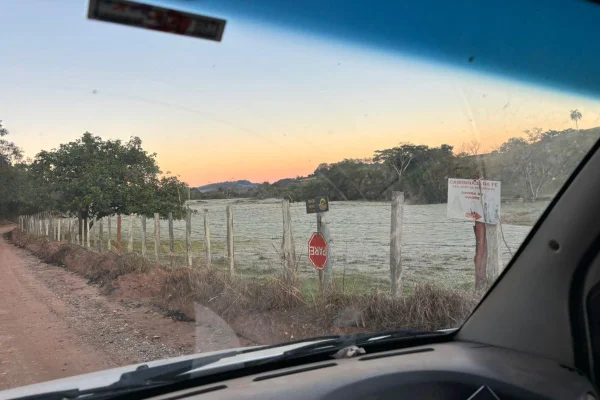Frio extremo: além das mínimas negativas registradas no interior do estado, a capital paulista teve a menor temperatura do ano, com 5,9º C - Metrópoles