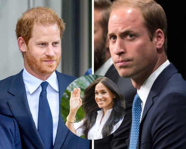 Harry xingou William por causa de Meghan, afirma autor real
