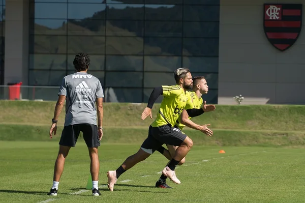 Confira os destaques da rodada deste domingo (14/07) do Brasileirão