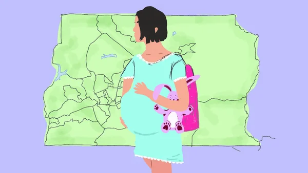 Imagem colorida de menina grávida desenhada com o mapa do DF atrás
