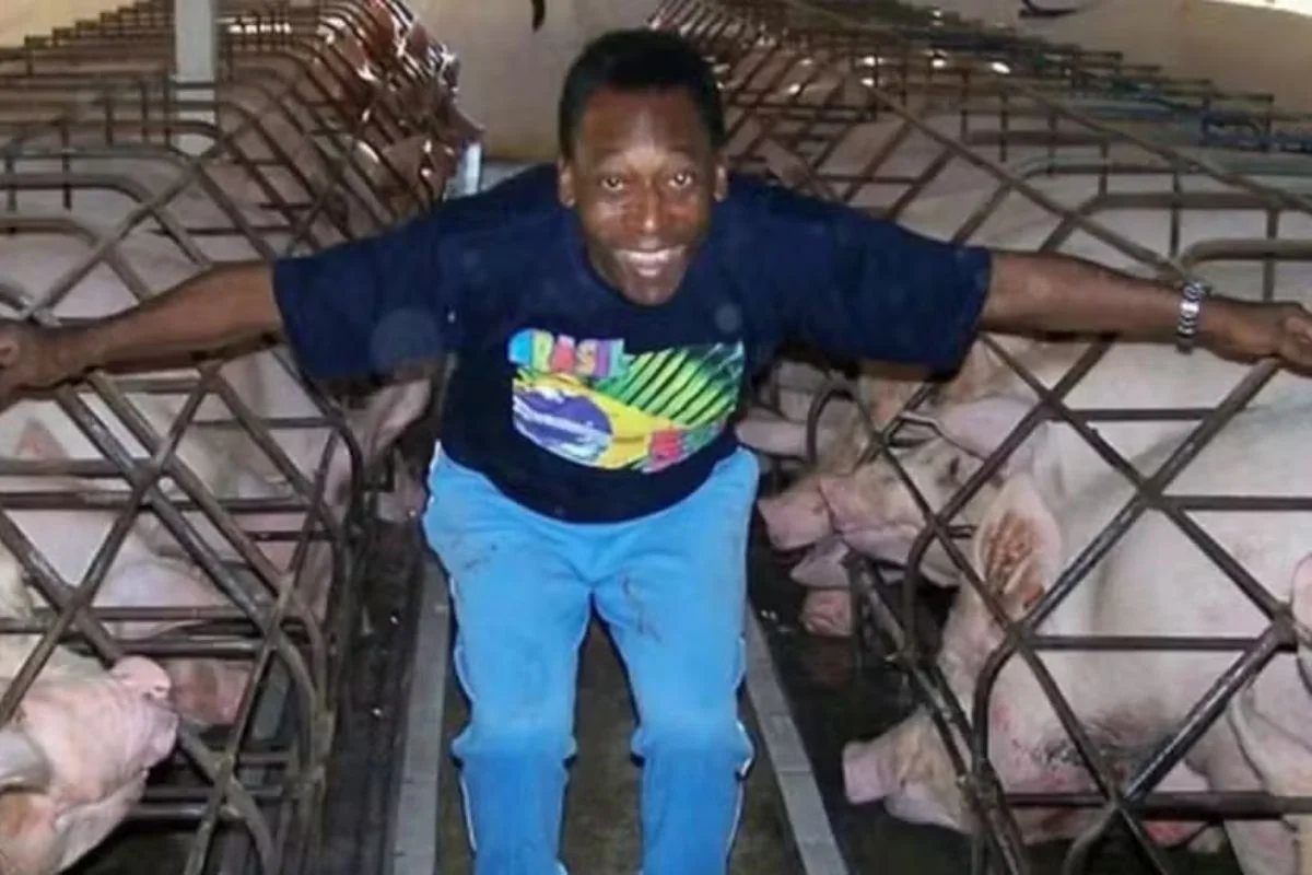 Sítio construído por Pelé foi vendido há mais de um ano. Veja fotos