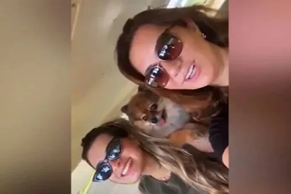 Família morre após avião cair no Paraná