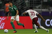 Palmeiras e Fluminense se enfrentaram pela semifinal da Libertadores Palmeiras e Fluminense se enfrentaram pela semifinal da Libertadores