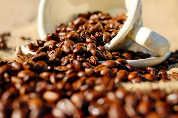 Grãos de café
