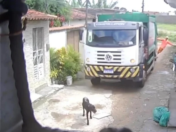 cachorro-atropelado-maceio-metropoles