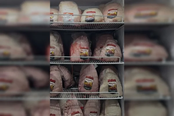 Imagem colorida de carnes dentro de freezer