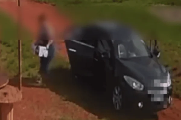 Vídeo revoltante mostra mulher abandonando cadela e filhotes na chuva
