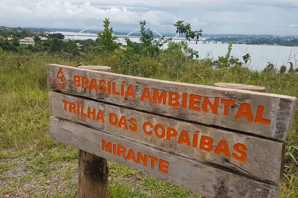 Conheça o Parque das Copaíbas, no Lago Sul, que tem trilha de 4km