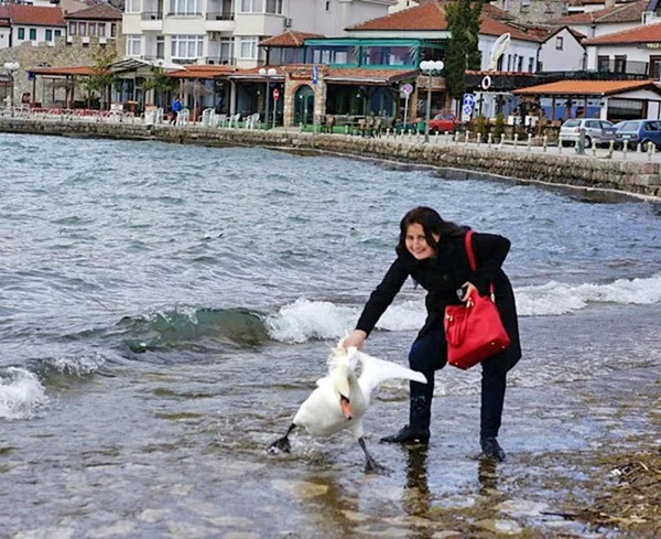 Turista mata cisne para tirar selfie