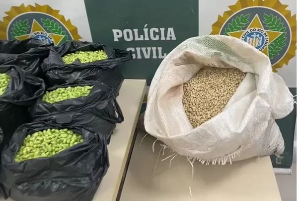 Vídeo: preso suspeito de pintar feijão para vender produto mais caro - destaque galeria