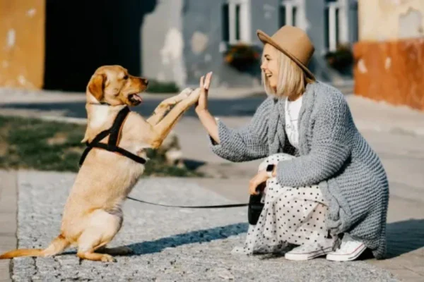 CACHORRO CARAMELO JUNTO DE UMA SENHORA