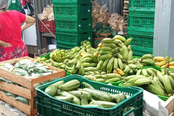 Merenda escolar do DF será “bombada” com aporte de R$ 30 milhões