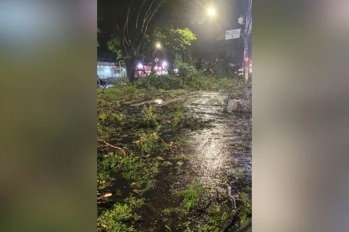 Temporal causa estragos e morte em Ribeirão Preto Temporal causa estragos e morte em Ribeirão Preto