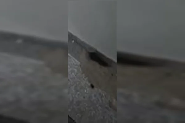 Ratos invadem centro cirúrgico do Hospital Universitário de Brasília