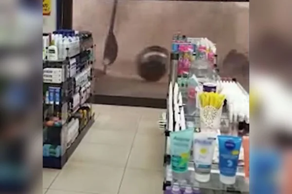 Vídeo: ventania antes de chuva deixa estragos em Samambaia
