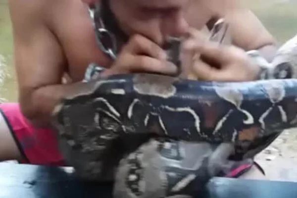 Ativista é mordido na boca por cobra ao protestar contra desmatamento