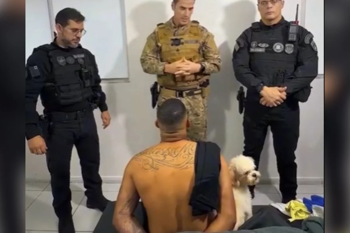 Fiel até o fim: cão acompanha tutor preso por ligação ao PCC