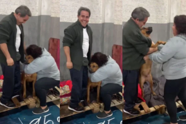 tutores reencontram cachorro em abrigo no RS