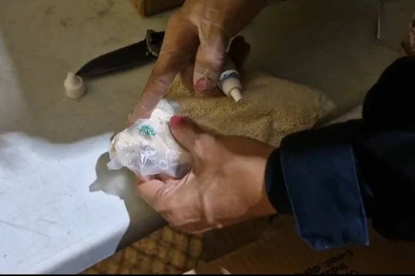 PRF apreende 50 kg de cocaína em pacotes de inseticida em ônibus no DF