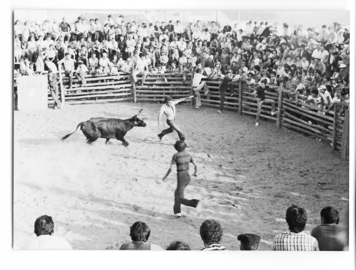 As histórias e fotos de José Saramago por Portugal - imagem 2 As histórias e fotos de José Saramago por Portugal - imagem 2