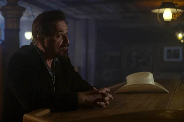 The Last Narc