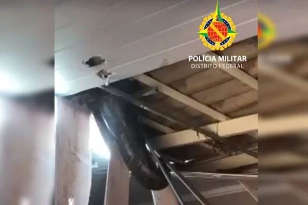 Vídeo: morador do DF encontra jiboia de 15kg no teto de casa
