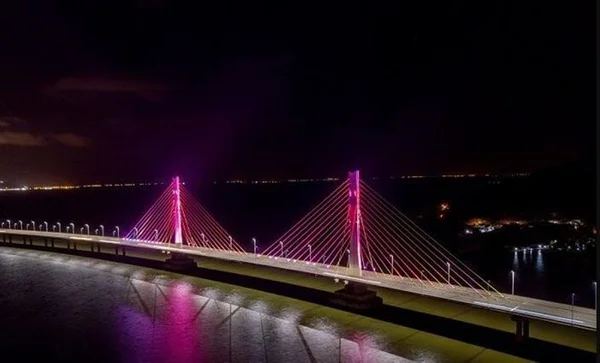 Imagem da Ponte Anita Garibaldi iluminada em rosa para chá revelação de casal - Metrópoles