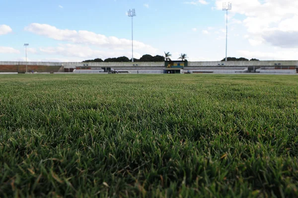 Dois meses após o Candangão, GDF conclui gramado de dois estádios