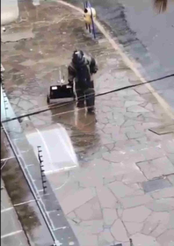 Imagem colorida. Esquadrão antibombas - Metrópoles