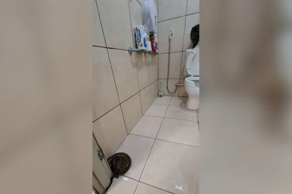 Imagem colorida mostra sucuri em banheiro de escola - Metrópoles