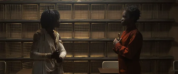 Crítica: em Nós, Jordan Peele garante que o verdadeiro terror é humano