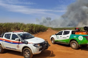 Equipes da Defesa Civil, Bombeiros e Polícia Militar combatem incêndios de grandes proporções em cinco cidades do estado de São Paulo nesta terça (26/8): Amparo, Bebedouro, Caçapava, São Sebastião da Grama e São Simão.