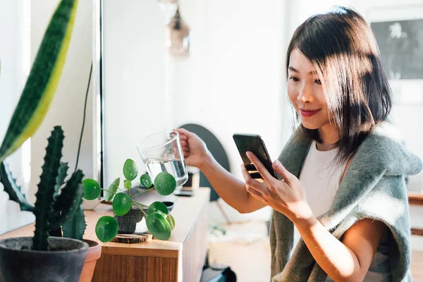 5 espécies fáceis de cuidar para “pais de planta” de primeira viagem