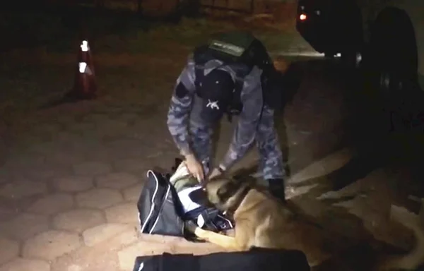 Cão da PMDF encontra 16kg de maconha em mala de adolescente de 15 anos