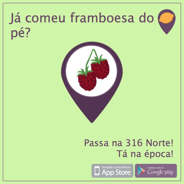 Conheça o Fruit Map, o aplicativo que mapeia as árvores frutíferas, em Brasília
