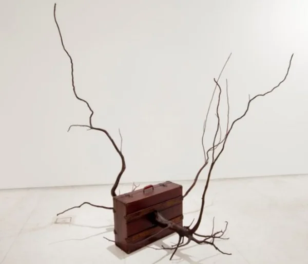 “Contraponto” apresenta acervo de arte contemporânea brasileira