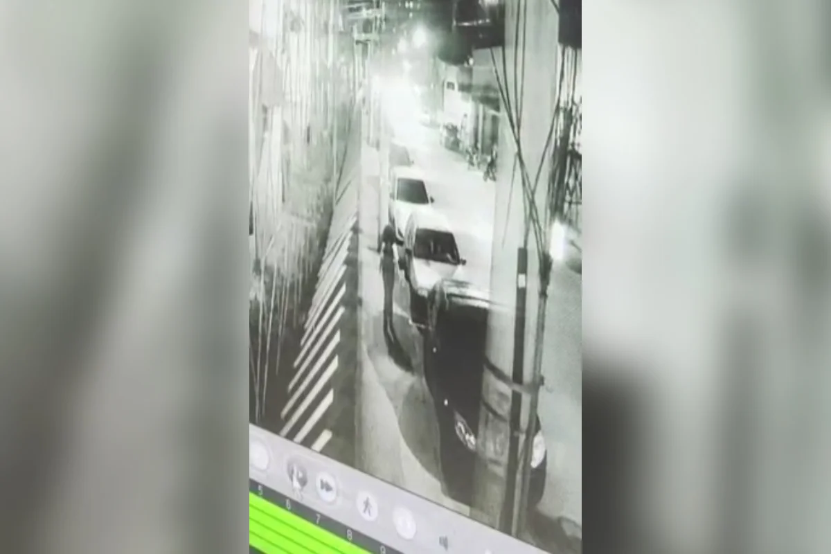 A jovem permanece imóvel enquanto a porta do carro se abre. Em seguida, ela entra no veículo. A jovem permanece imóvel enquanto a porta do carro se abre. Em seguida, ela entra no veículo.