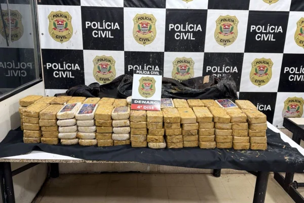 Imagem colorida mostra droga apreendida pela Polícia Civil. Cocaína estava no meio de esterco e naftalina para disfarçar o cheiro - Metrópoles