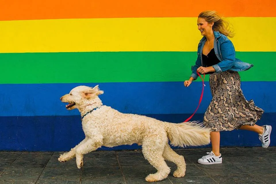 "Me deixe correr, humana!" "Me deixe correr, humana!"