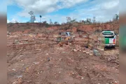 As gaiolas, armadilhas e transportadores apreendidos foram destruídos e inutilizados no aterro sanitário municipal.