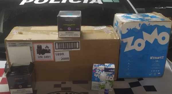 foto colorida de carga de cigarro eletrônico (vape) encontrada escondida em carregamento de alho - Metrópoles