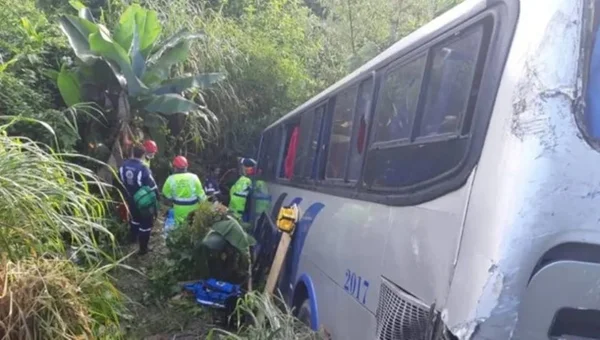 Ônibus cai em ribanceira após colidir com caminhão em São Paulo