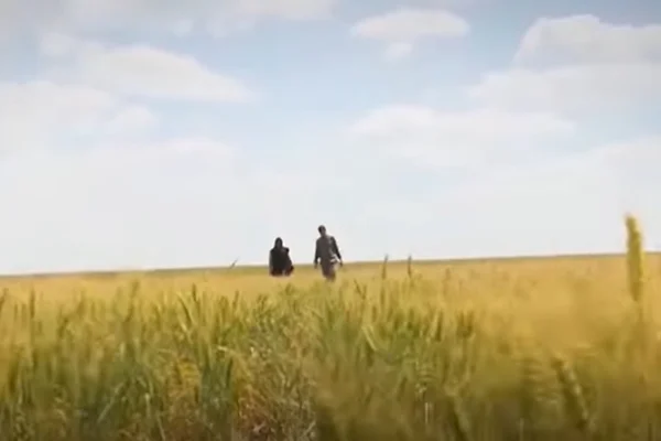 Agricultura na Ucrânia
