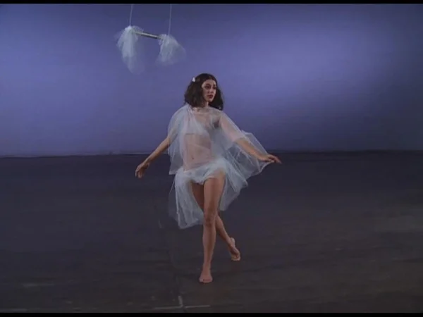 14º Festival de Brasília do Cinema Brasileiro (1981)