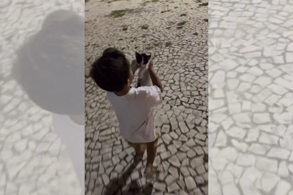 menino e o gato