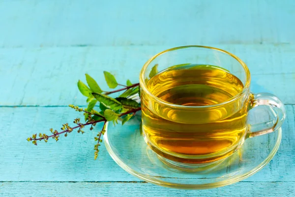 Chá de manjericão-santo (tulsi) em xícara de vidro transparente com folha fresca de manjericão-santo sobre fundo de madeira azul. Metrópoles