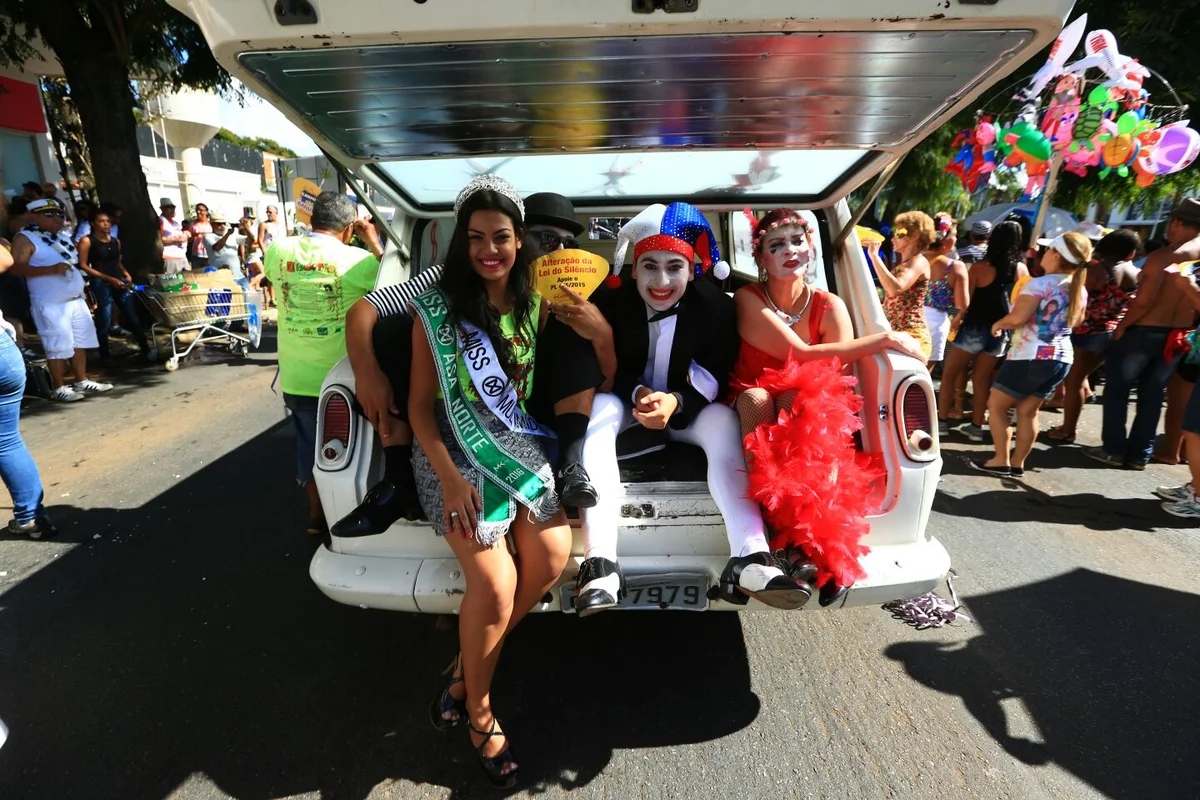 Foliões tomam as ruas de Brasília no segundo dia de carnaval - imagem 9 Foliões tomam as ruas de Brasília no segundo dia de carnaval - imagem 9