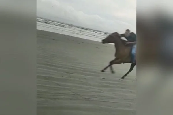 Mulher cachorro atropelado praia peruibe sao paulo corrida moto cavalo