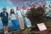 Alunos e professores da Escola Classe 03 do Núcleo Bandeirante, onde Valentina Nobre estudava, fazem homenagem à criança, que morreu devido a picada de escorpião. Alunos e professores da Escola Classe 03 do Núcleo Bandeirante, onde Valentina Nobre estudava, fazem homenagem à criança, que morreu devido a picada de escorpião.