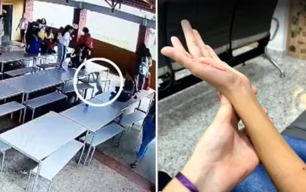 imagem colorida pit bull invade escola goias